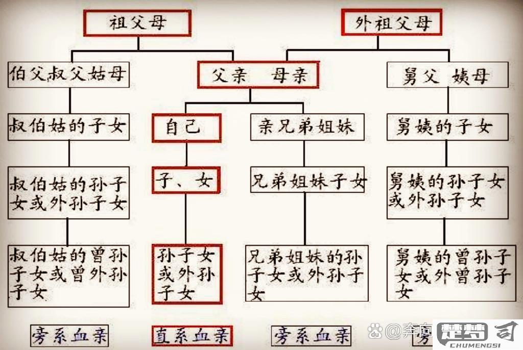 舅公的老婆怎么称呼？中国传统亲属称谓详解