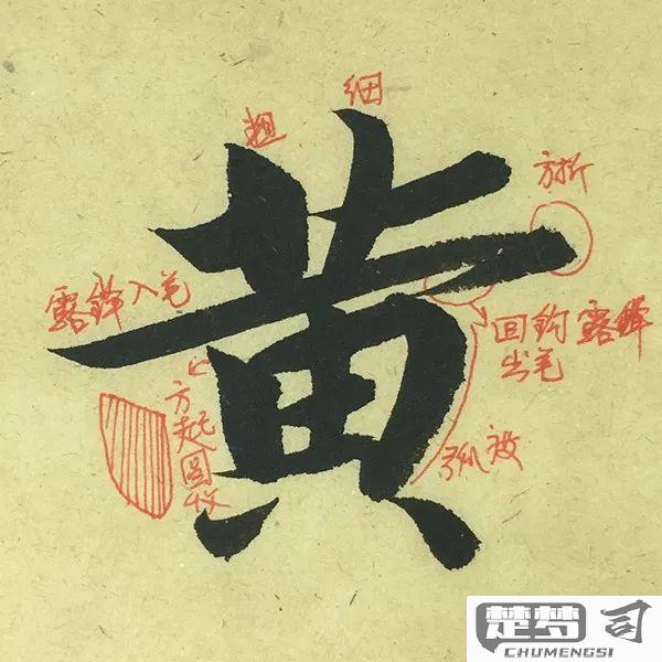 黄的笔画顺序怎么写？详细步骤与常见错误解析