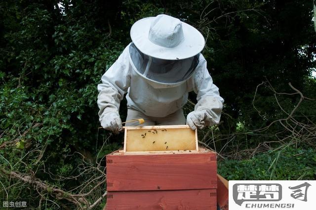 蜜蜂怕什么怎么驱赶？安全有效的驱蜂方法大揭秘