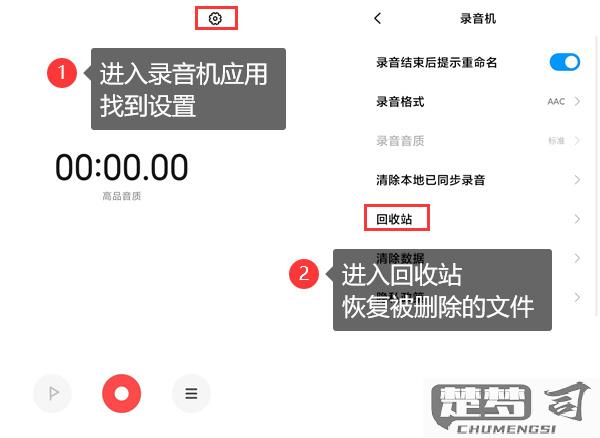 录音删除了怎么恢复？手机和电脑端完整恢复方案