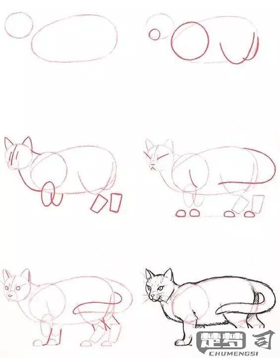 猫怎么画简单又可爱？初学者必看的步骤教程