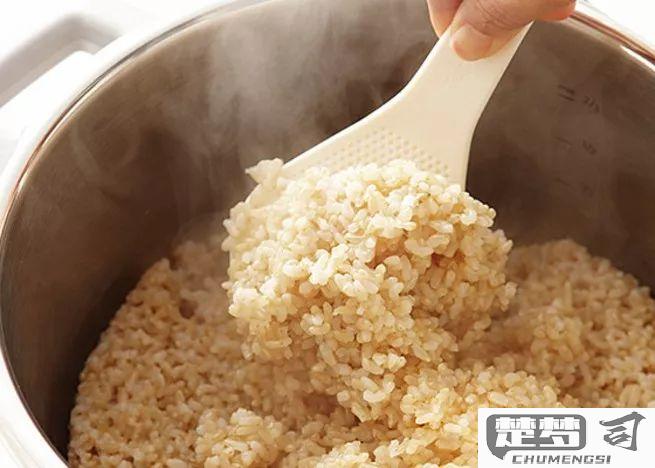 电饭锅怎么煮糙米饭？水米比例、浸泡时间与煮制技巧全解析