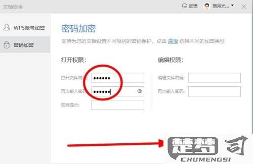 WPS怎么设置密码？详细步骤与安全性分析