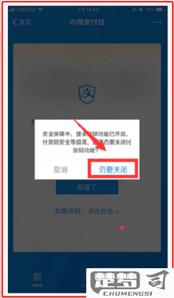 支付宝密码怎么设置？详细步骤与安全建议