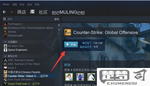 CSGO怎么加好友？详细步骤和解决方法全攻略