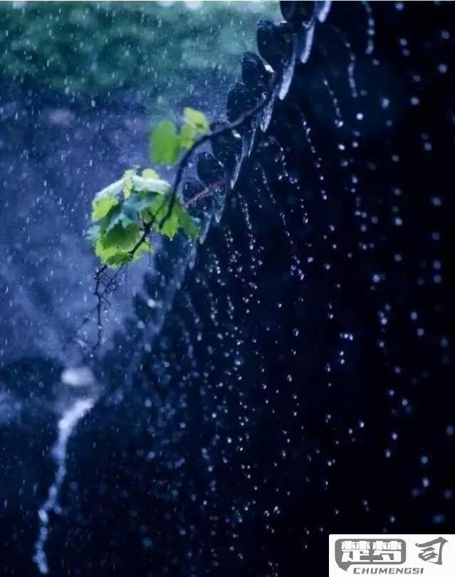 下雨的声音怎么形容？探索雨声的多种表达方式