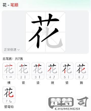 花的笔画顺序怎么写？详细步骤与练习建议