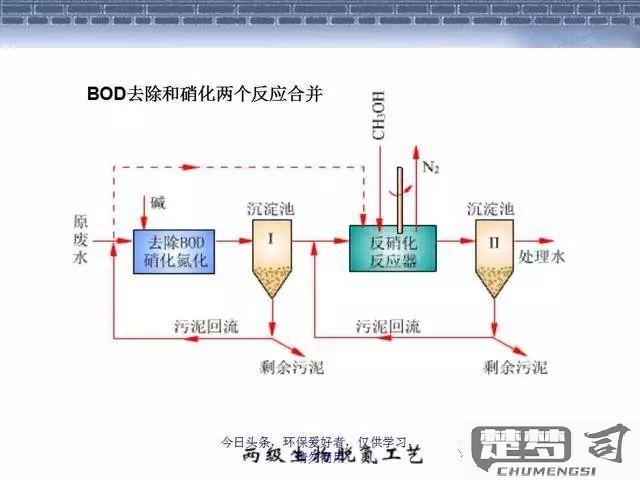 缺氧污染水怎么处理？全面解析物理、化学与生物处理方法