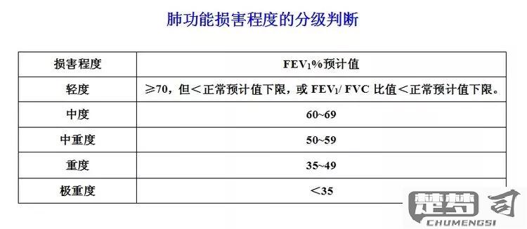 肺功能报告单怎么看？解读关键指标与正常值范围