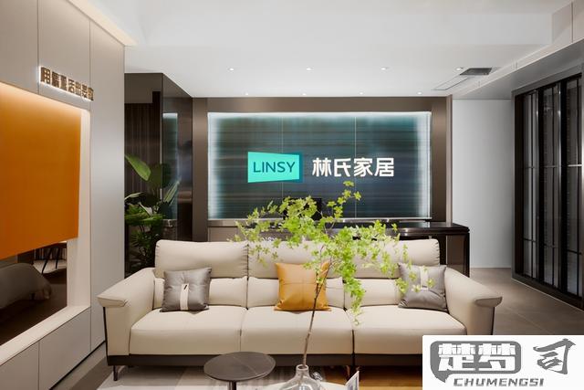 林氏家具质量怎么样？耐用性与售后服务全面解析