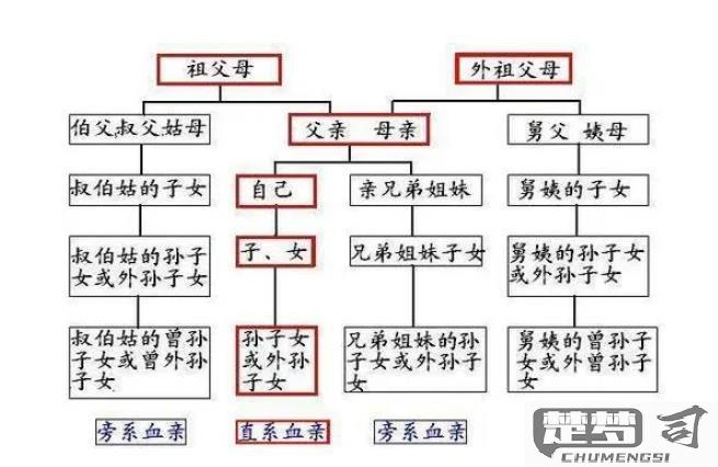 爸爸的堂妹怎么称呼？中国传统亲属称谓详解