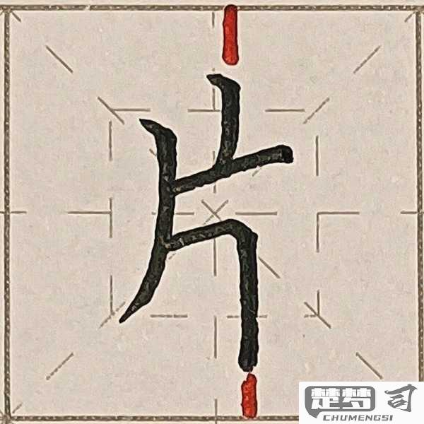 片的笔画顺序怎么写？详细步骤与练习建议