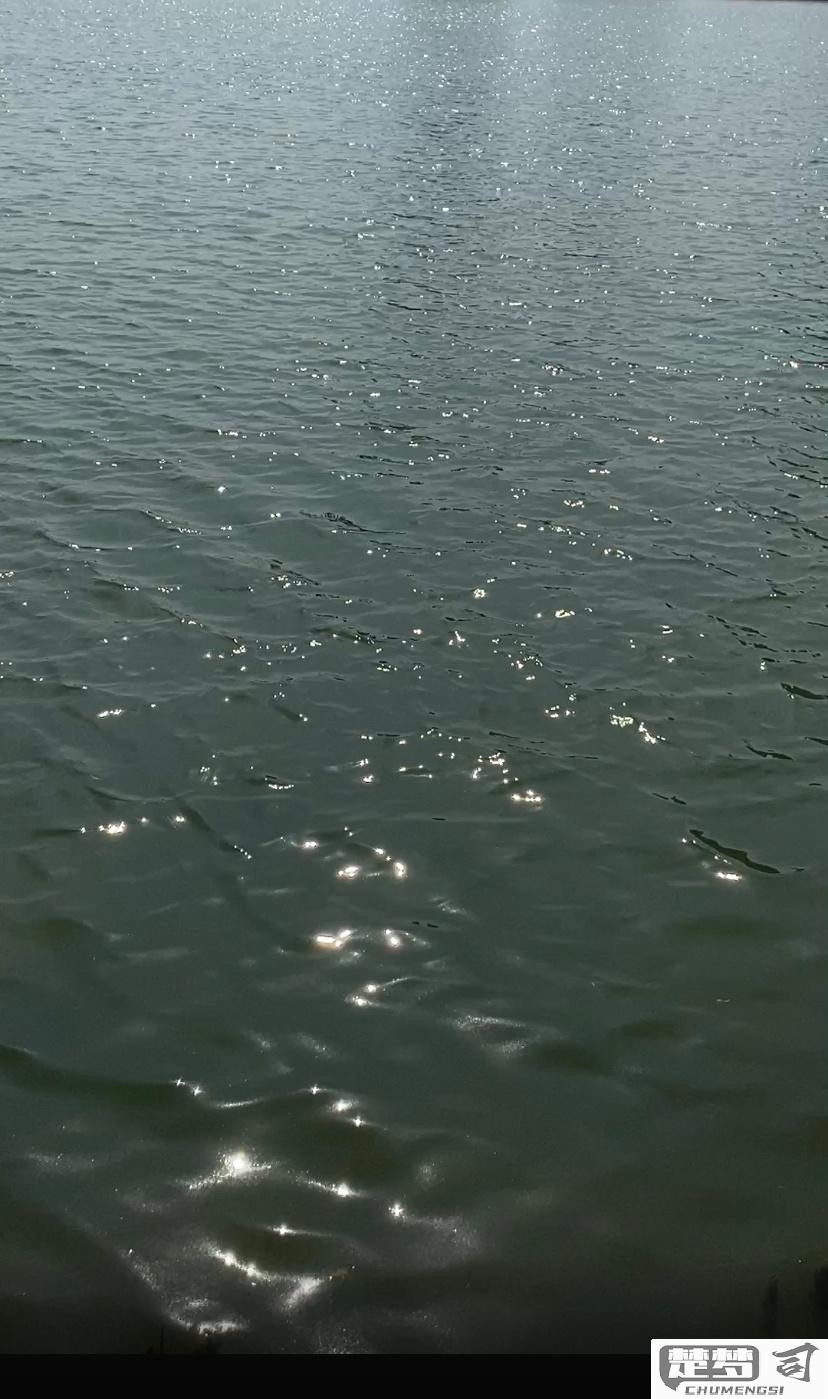 波光粼粼的粼怎么写？正确笔画顺序与含义解析