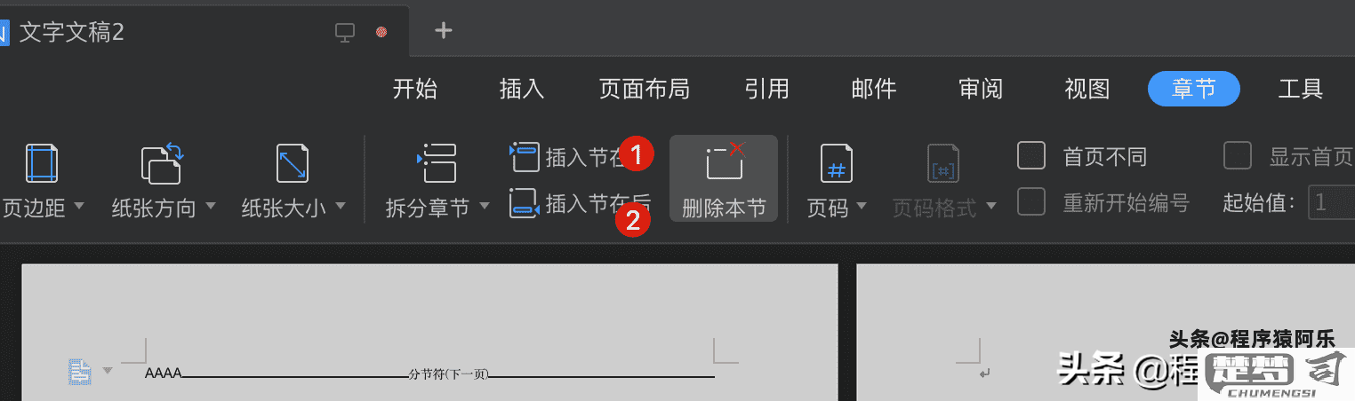 WPS怎么删除一页？详细步骤和技巧全解析