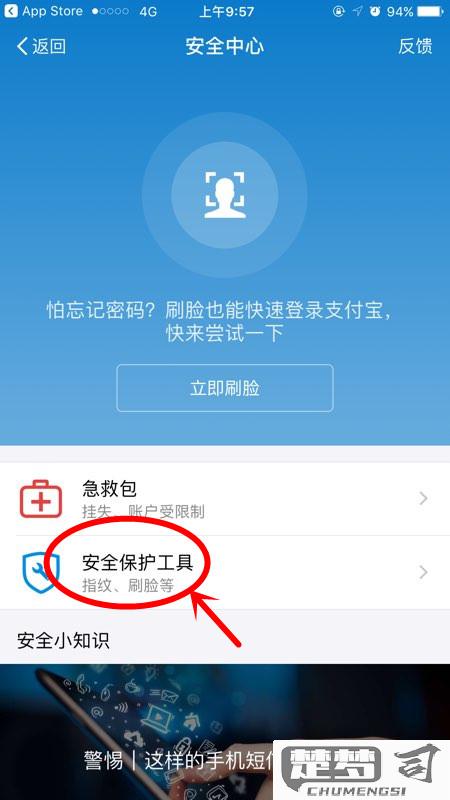 支付宝怎么设置密码？详细步骤与安全建议