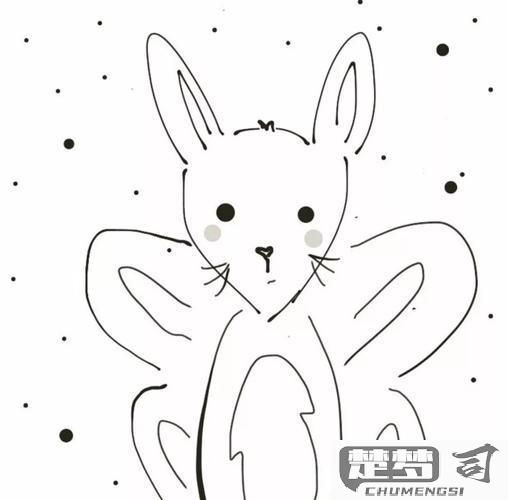 可爱的小动物怎么画？掌握这些技巧让你的画作更生动