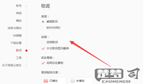 网易云怎么显示歌词？完整操作指南与问题解决