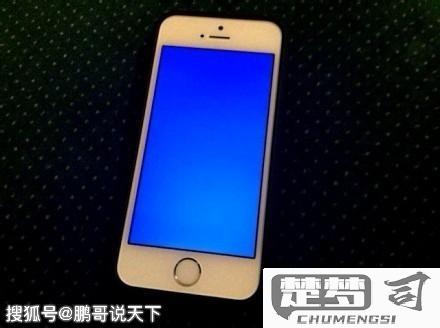苹果手机死机怎么办？快速解决方法与预防技巧