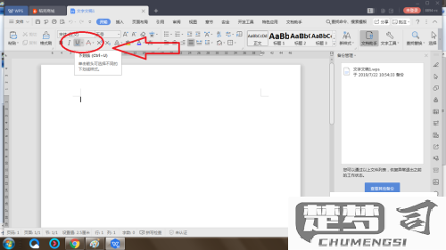 WPS怎么加下划线？详细操作步骤一览
