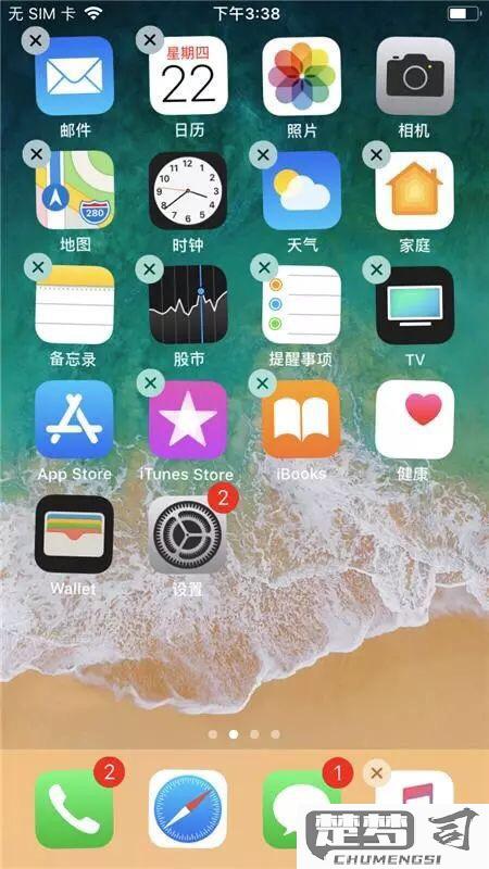 苹果手机怎么清内存？详细步骤与技巧分享