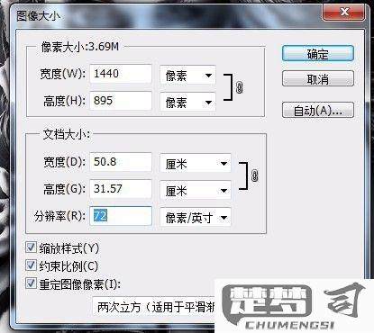 如何调整照片像素大小而不损失质量？专业方法与工具推荐