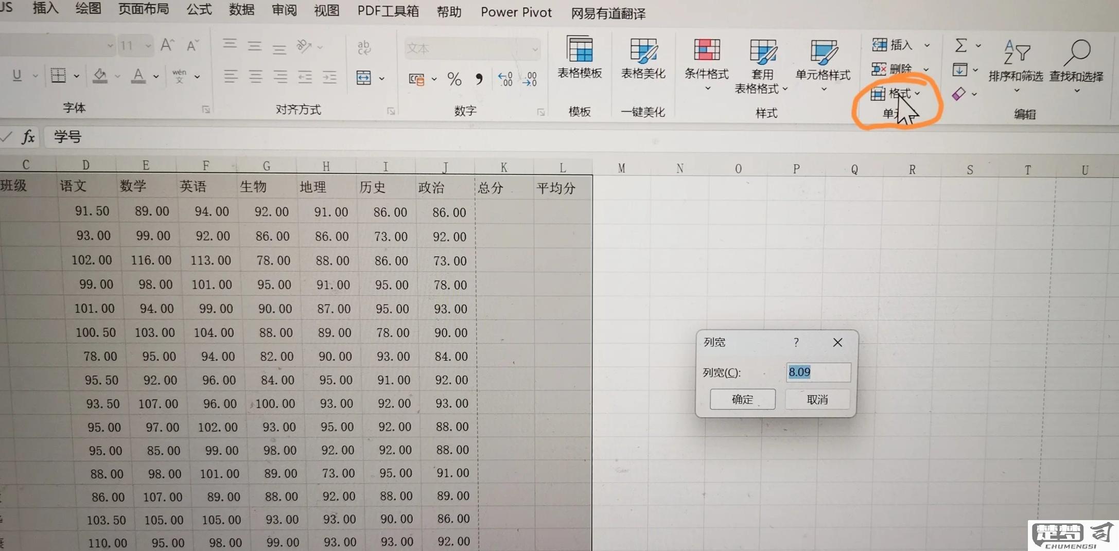 单元格行高怎么设置？Excel中调整行高的详细步骤