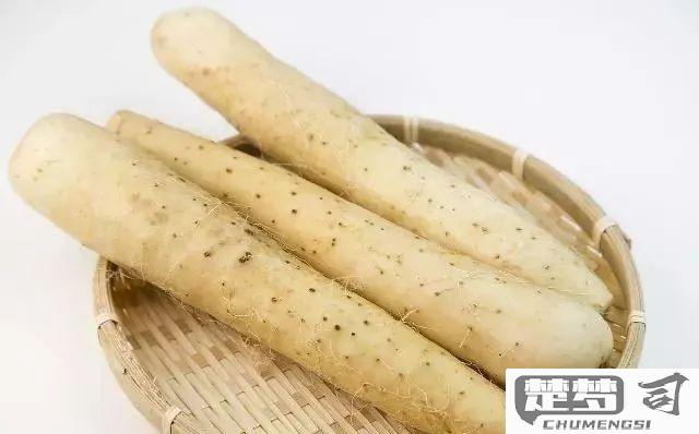 山药吃多了会怎么样？了解过量食用的副作用与解决方法