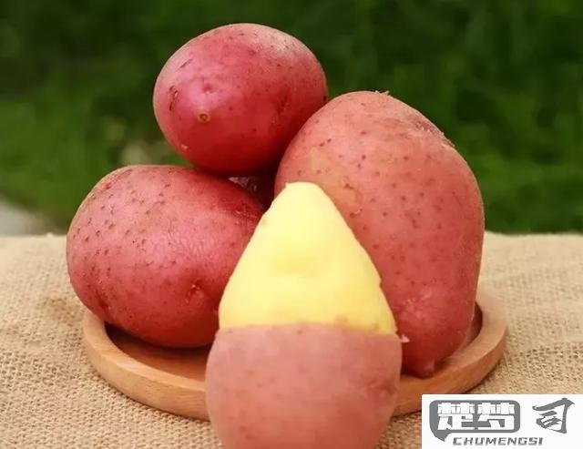 红皮土豆怎么做好吃？分享6种经典做法及营养解析