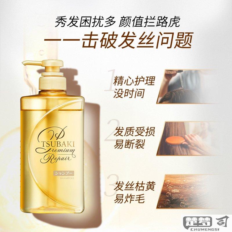 丝蓓绮洗发水怎么样？适合什么发质？成分和功效如何？