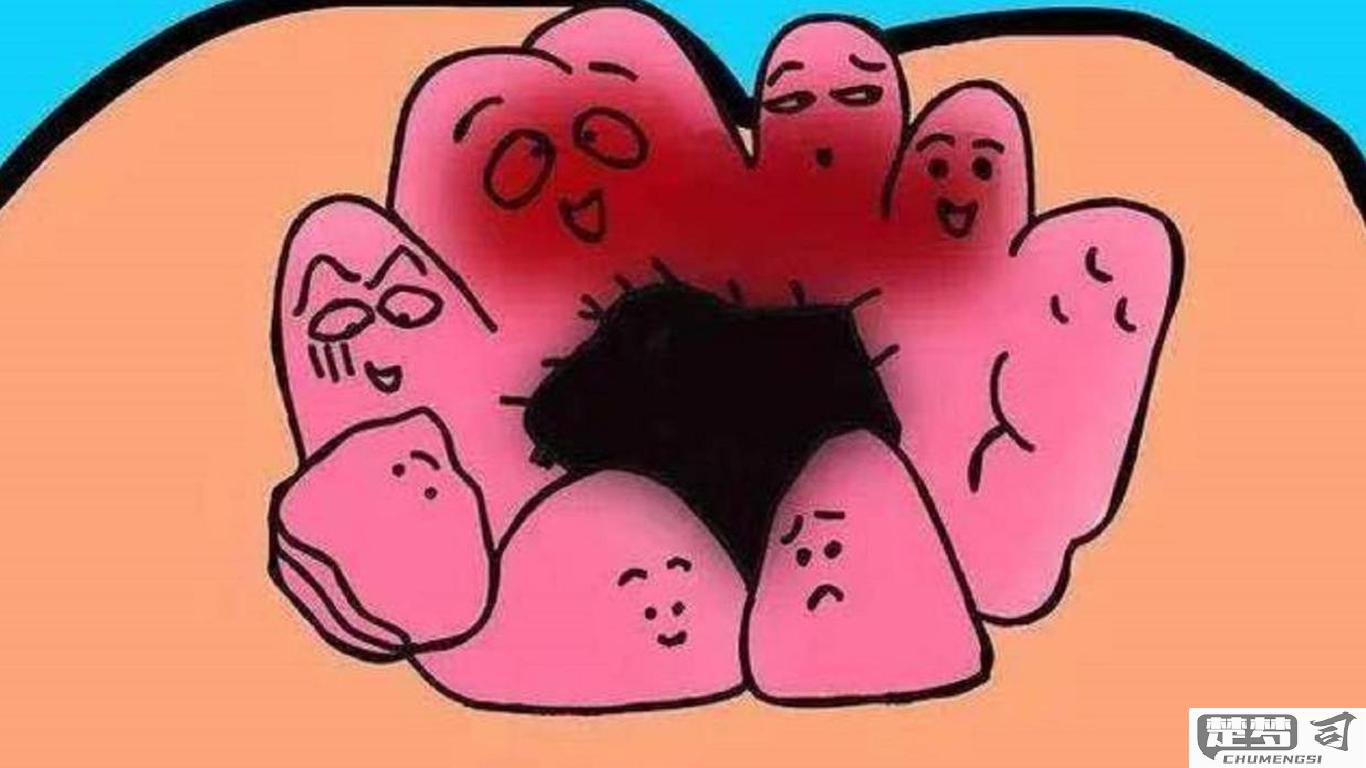 痔疮外痔肉球怎么消除？有效的治疗方法与预防措施