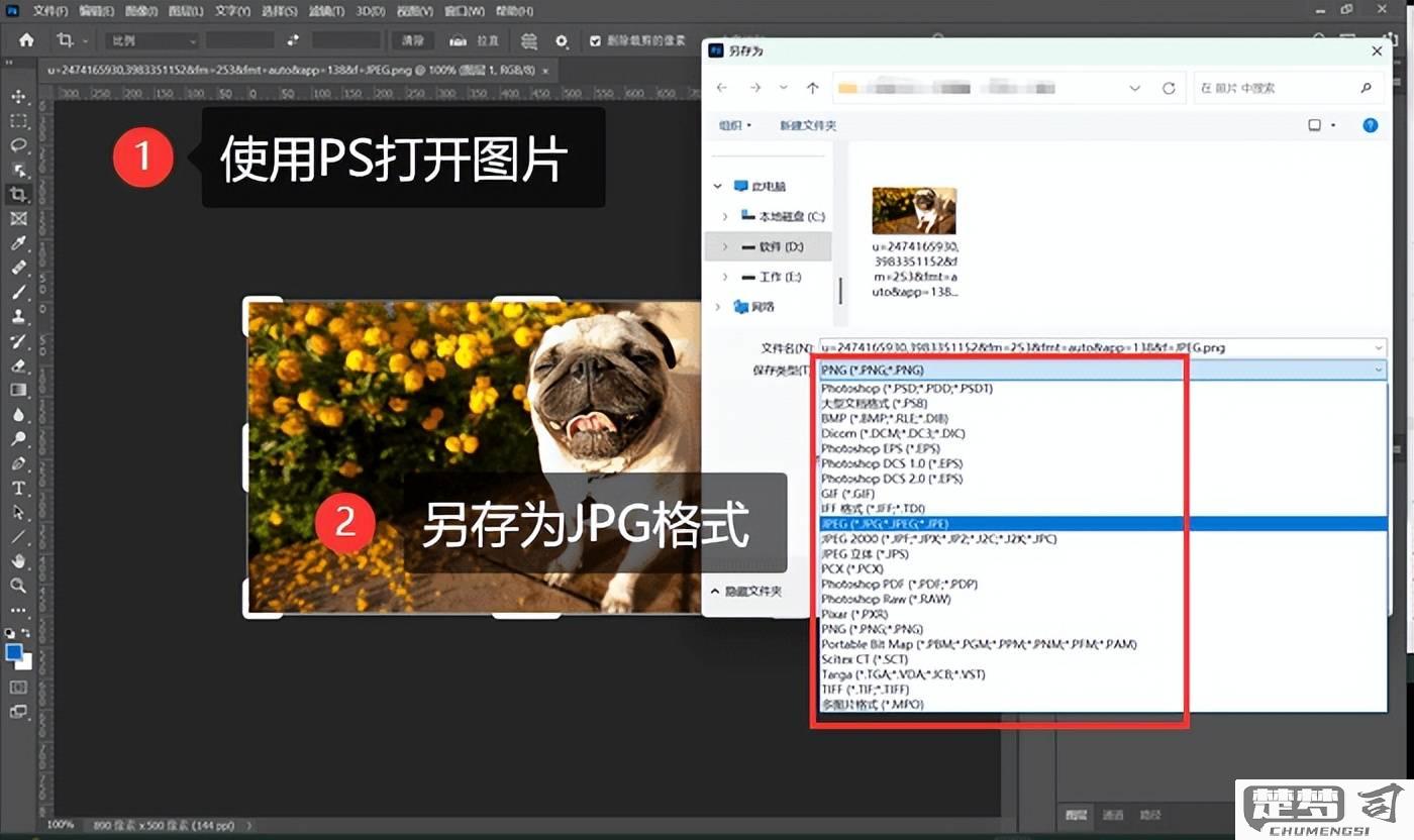 如何将图片转换为JPG格式？详细步骤与工具推荐