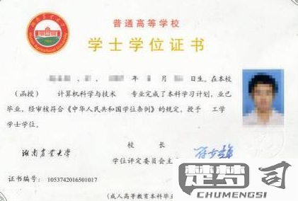 学位证书编号怎么查询？官方查询方法与注意事项全解析