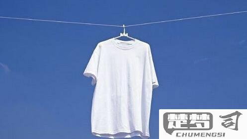 白色衣服发黄怎么洗白？天然方法与专业洗涤剂推荐