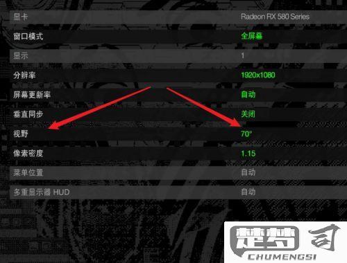 看门狗2怎么设置中文？详细步骤与解决方案