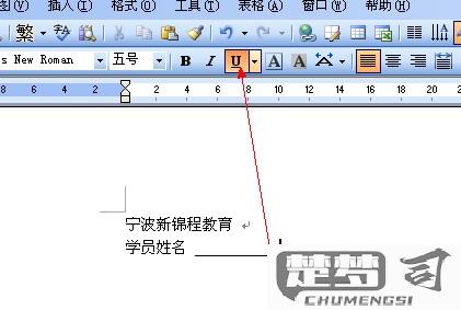 Word下划线怎么打？快捷键和多种方法全解析