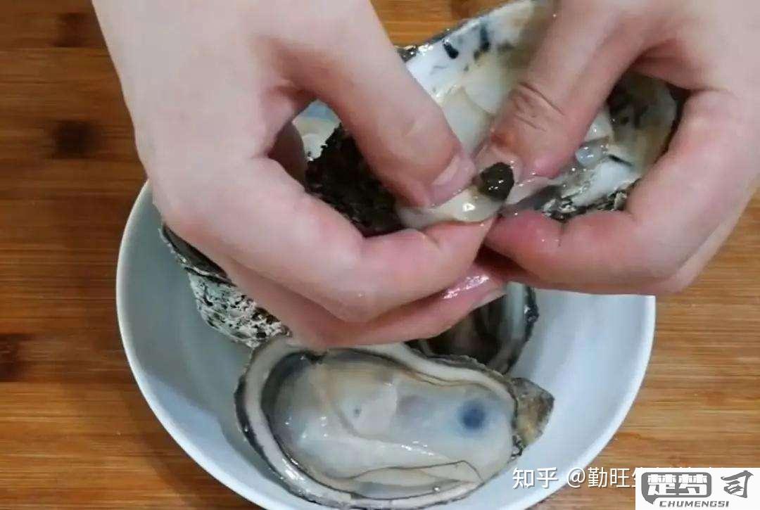 生蚝怎么清洗内脏图解？详细步骤与注意事项