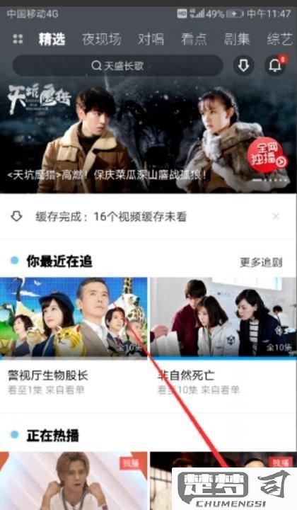 优酷怎么关闭自动续费？详细步骤与常见问题解答