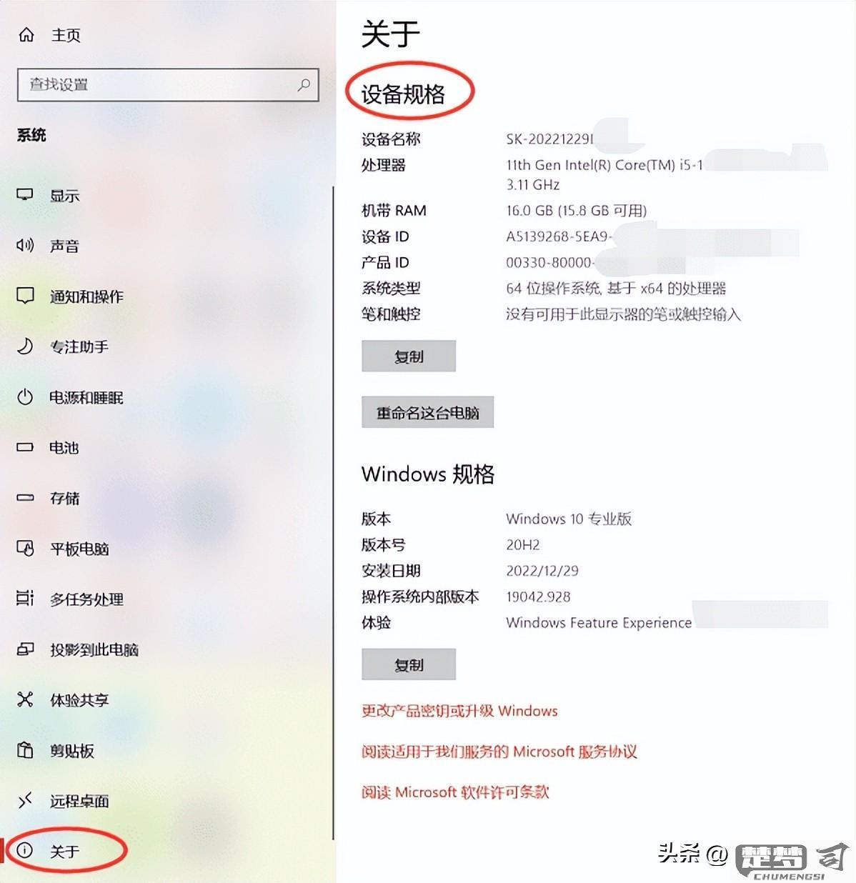 怎么查看电脑显卡配置？Windows和macOS系统详细教程