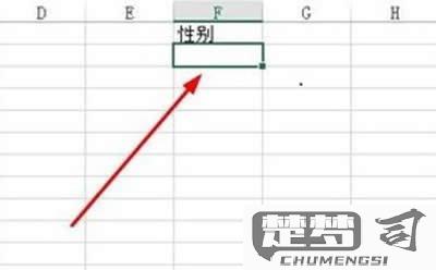表格下拉选项怎么添加？Excel和Word详细操作指南