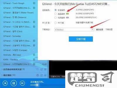 怎么下载MV到手机上？电脑和手机端详细操作指南