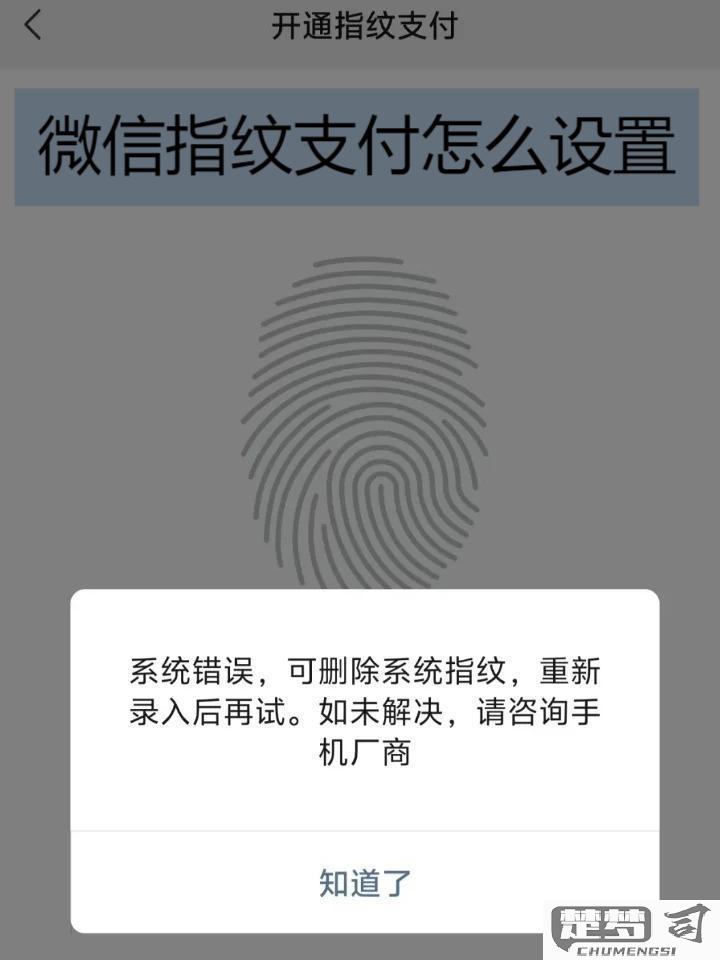 微信怎么设置指纹支付？详细步骤与问题解决指南