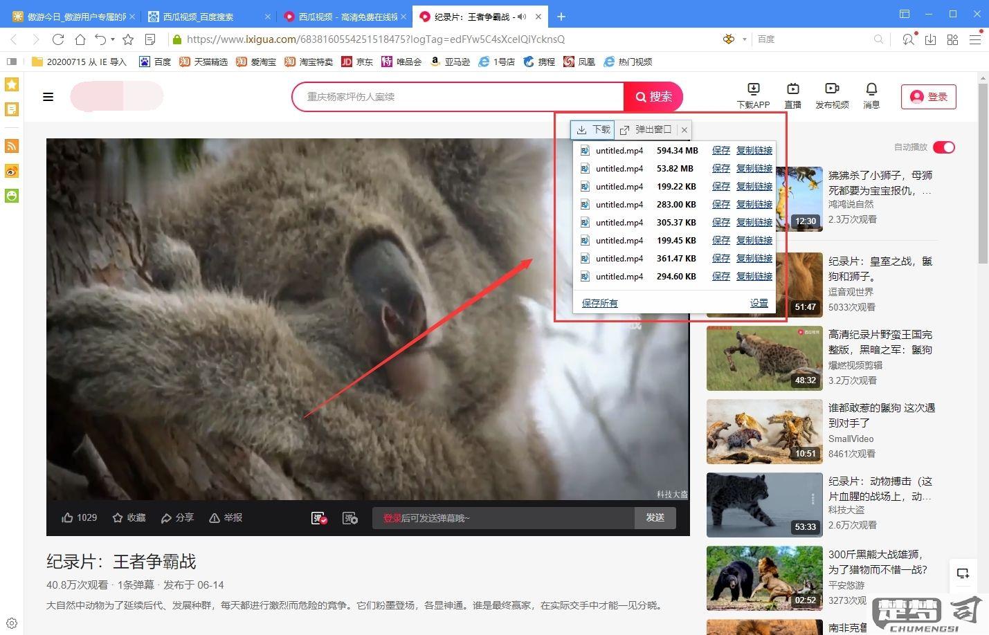 怎么下载网页上的视频？免费工具及方法全攻略