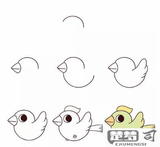小鸟怎么画简单又好看？简单步骤与技巧分享