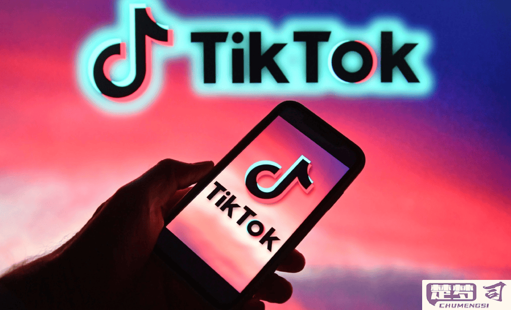 如何在国内下载和使用TikTok？完整指南分享
