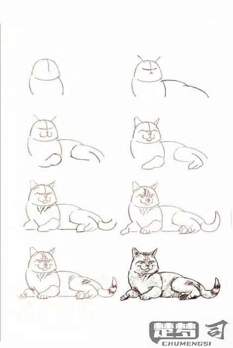 小猫怎么画简单又可爱？零基础也能学会的绘画教程