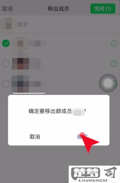 群主怎么踢人出微信群？详细步骤与注意事项