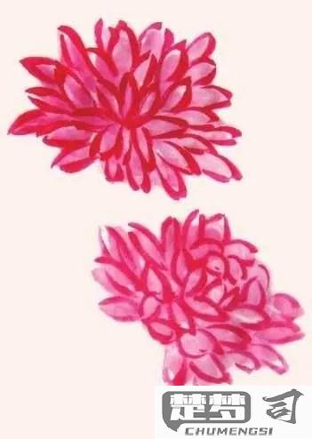 菊花怎么画简单又好看？适合初学者的分步教程