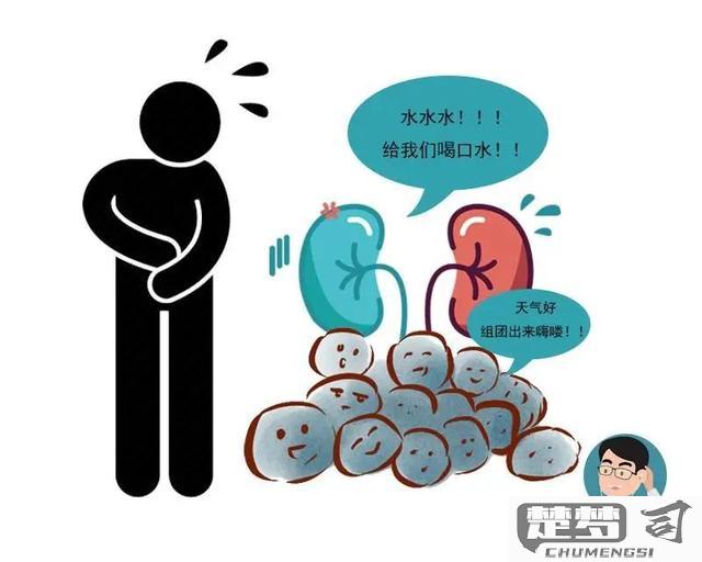 喝水就想尿是怎么回事？可能的原因与解决方法