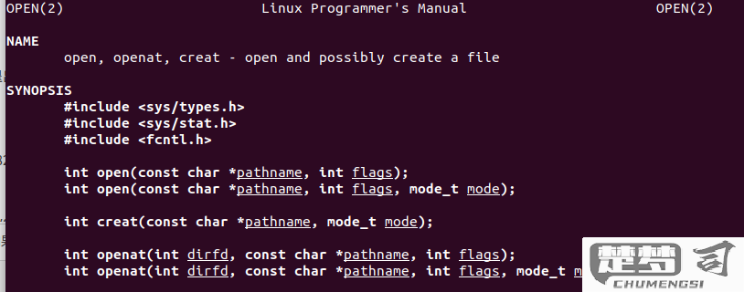 mmap文件怎么打开？Linux/Unix和Windows系统下的详细指南
