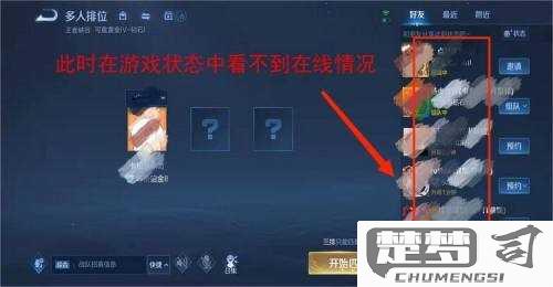王者荣耀怎么设置隐身？详细步骤与限制解析